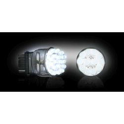 RECON-264213WH-3156-Unidirectional-White-Bulb-LED